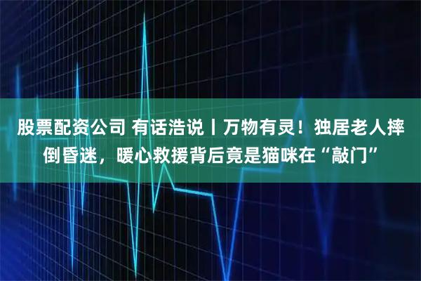 股票配资公司 有话浩说丨万物有灵！独居老人摔倒昏迷，暖心救援背后竟是猫咪在“敲门”
